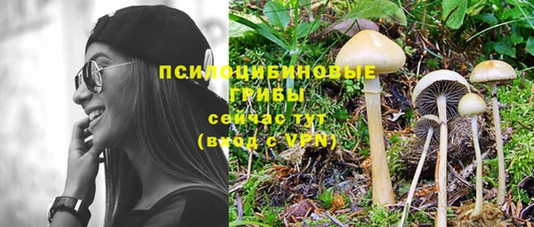 альфа пвп Бородино